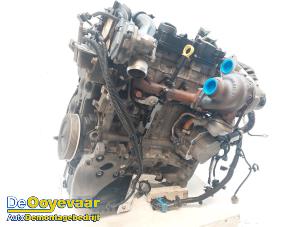 Used Engine Ford Transit Connect (PJ2) 1.6 TDCi 16V 75 Price € 2.199,99 Margin scheme offered by Autodemontagebedrijf De Ooyevaar