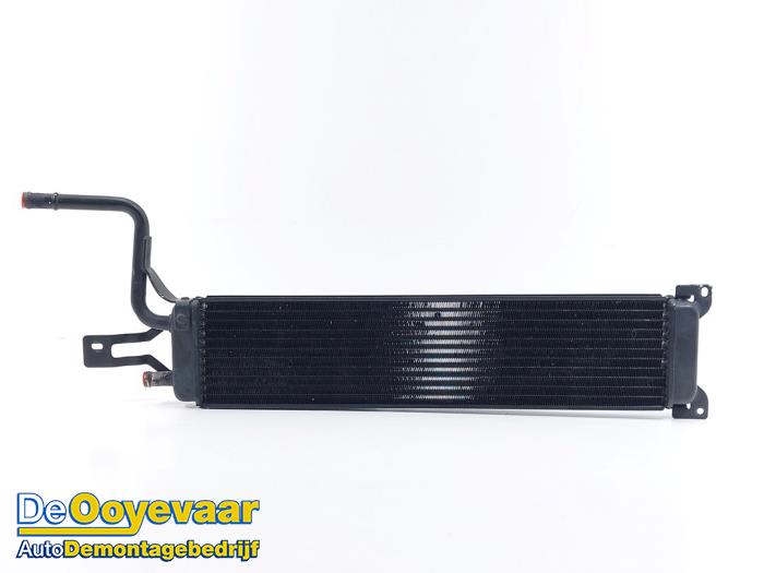 Gebrauchte Kühler Audi RS 6 Avant (C6) RS6 5.0 V10 40V TFSI Preis € 125,00 Margenregelung angeboten von Autodemontagebedrijf De Ooyevaar