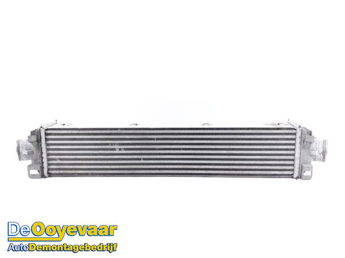Usagé Intercooler Audi A6 Avant (C8) 3.0 V6 24V 50 TDI Mild Hybrid Quattro Prix € 199,99 Règlement à la marge proposé par Autodemontagebedrijf De Ooyevaar
