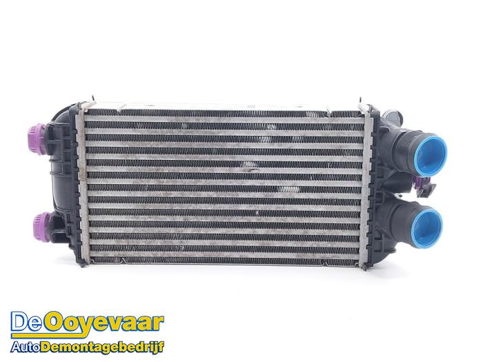 Usados Intercooler Opel Corsa F (UB/UH/UP) 1.2 Turbo 12V 100 Precio € 59,99 Norma de margen ofrecido por Autodemontagebedrijf De Ooyevaar