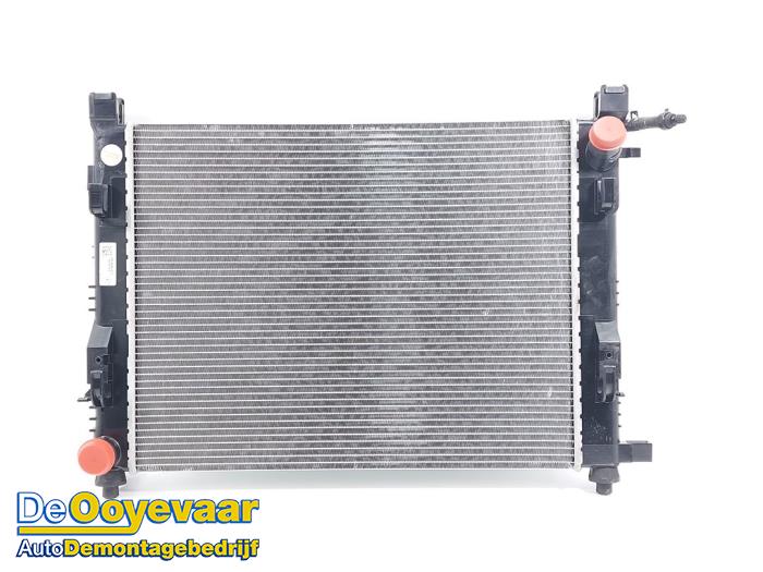 Usagé Radiateur Dacia Duster (SR) 1.0 TCE 100 Bi-Fuel, Eco-G 12V Prix € 29,99 Règlement à la marge proposé par Autodemontagebedrijf De Ooyevaar