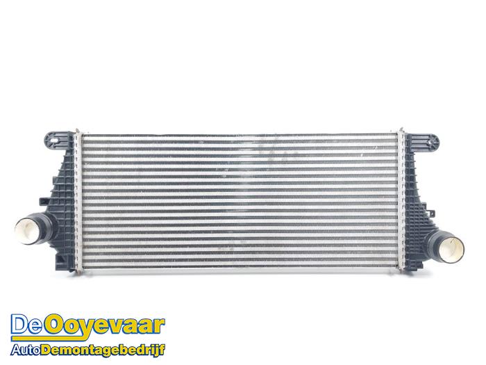 Usados Intercooler Opel Insignia Sports Tourer 1.5 Turbo 16V 165 Precio € 89,99 Norma de margen ofrecido por Autodemontagebedrijf De Ooyevaar