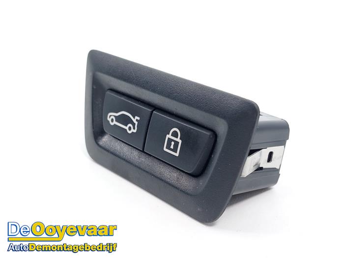 Tailgate/boot open switch button