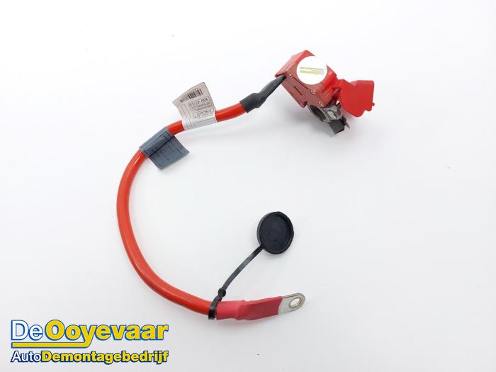 Używane Biegun akumulator BMW 4 serie (F32) 420d 2.0 16V Cena € 9,99 Procedura marży oferowane przez Autodemontagebedrijf De Ooyevaar