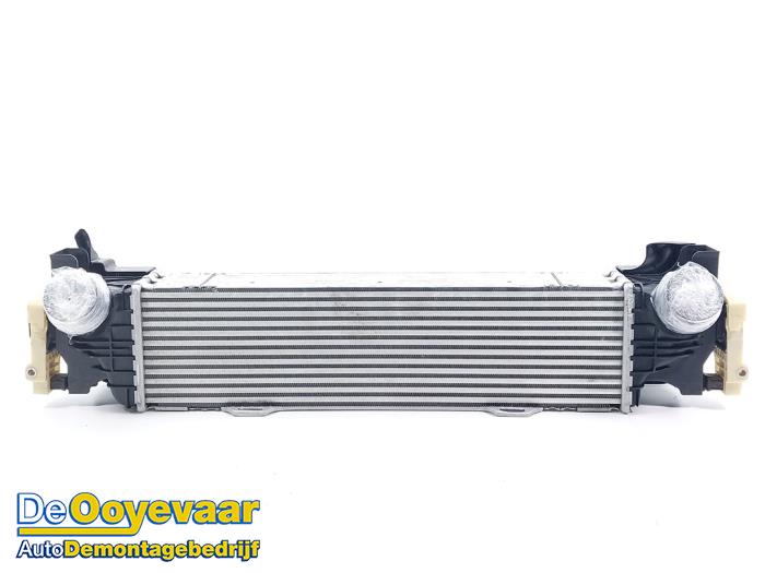 Usados Intercooler BMW 5 serie (G30) 520i 2.0 TwinPower Turbo 16V Precio € 175,00 Norma de margen ofrecido por Autodemontagebedrijf De Ooyevaar