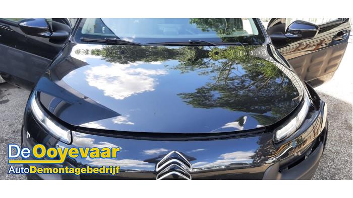 Używane Maska Citroen C4 Cactus (0B/0P) 1.2 PureTech 82 12V Cena € 274,99 Procedura marży oferowane przez Autodemontagebedrijf De Ooyevaar