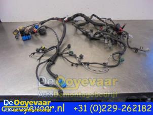 Used Wiring harness Renault Captur (2R) 1.2 TCE 16V EDC Price € 99,99 Margin scheme offered by Autodemontagebedrijf De Ooyevaar