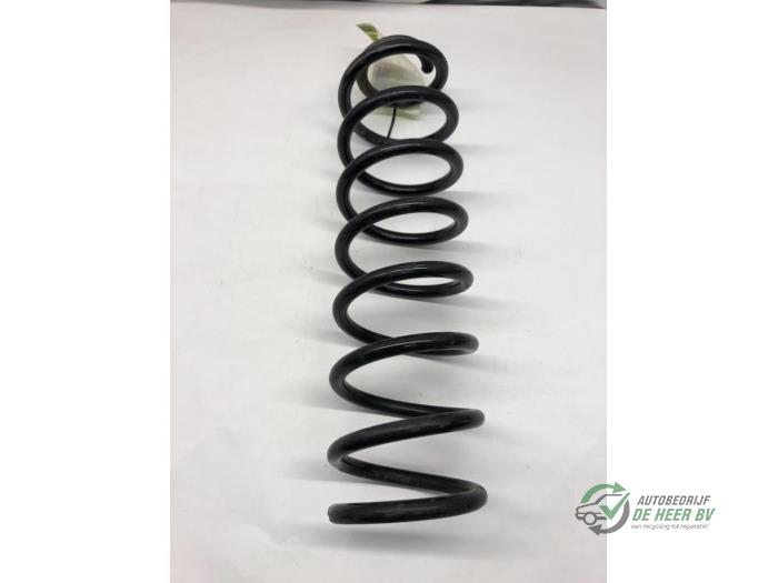 Rear coil spring from a Renault Megane II (LM) 1.6 16V 2003
