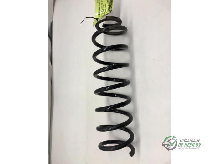 Rear coil spring from a Renault Megane II (LM) 1.6 16V 2003