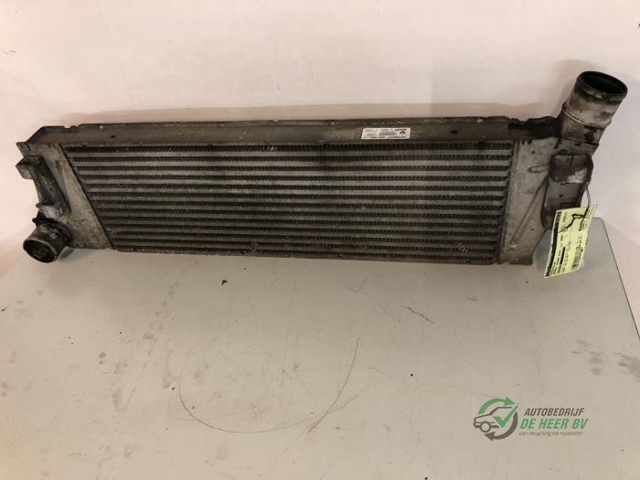 Usagé Echangeur air (Intercooler) Renault Scénic II (JM) 1.5 dCi 80 Prix € 45,00 Règlement à la marge proposé par Autobedrijf de Heer B.V.