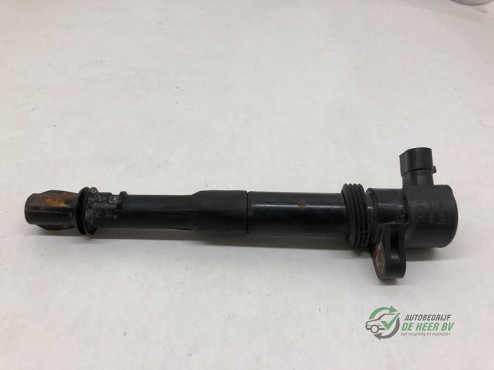 Usagé Broche bobine Fiat Doblo (223A/119) 1.6 16V Prix € 15,00 Règlement à la marge proposé par Autobedrijf de Heer B.V.