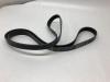 Drive belt from a Ford Fiesta 2002
