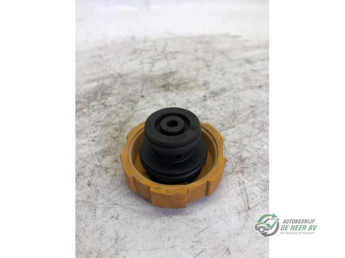 Coolant expansion tank cap