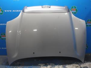 Gebrauchte Motorhaube Hyundai Santa Fe I 2.4 16V 4x4 Preis € 105,00 Margenregelung angeboten von Maresia Auto Recycling B.V.