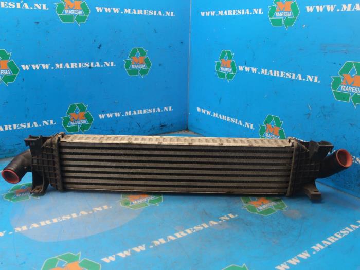 Usados Intercooler Ford Focus 2 C+C Precio € 21,00 Norma de margen ofrecido por Maresia Auto Recycling B.V.