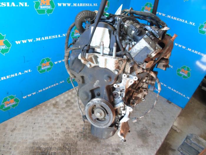 Used Engine Ford Focus Price € 840,00 Margin scheme offered by Maresia Auto Recycling B.V.