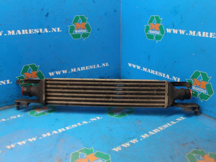 Usagé Intercooler Opel Corsa Prix € 78,75 Règlement à la marge proposé par Maresia Auto Recycling B.V.