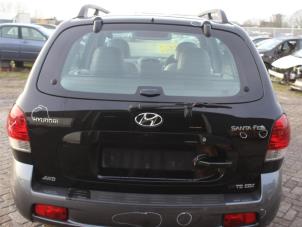 Used Tailgate Hyundai Santafe Price € 157,50 Margin scheme offered by Maresia Auto Recycling B.V.