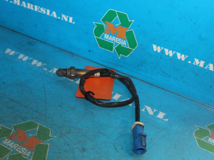 Używane Sonda lambda Ford Focus 2 2.0 16V Cena € 52,50 Procedura marży oferowane przez Maresia Auto Recycling B.V.