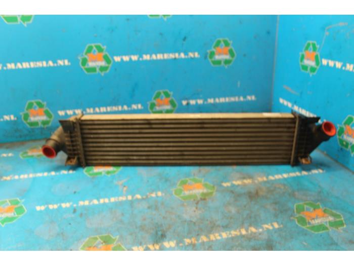 Used Intercooler Ford Focus Price € 26,25 Margin scheme offered by Maresia Auto Recycling B.V.