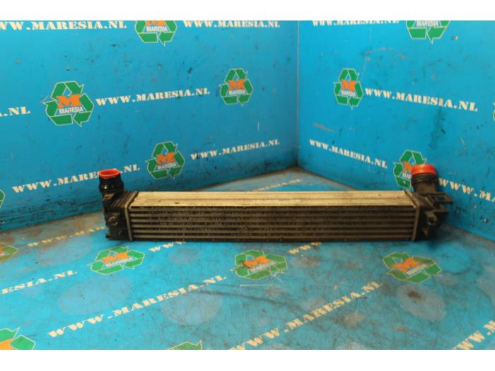 Used Intercooler Renault Megane III Coupe (DZ) 1.2 16V TCE 115 Price € 63,00 Margin scheme offered by Maresia Auto Recycling B.V.