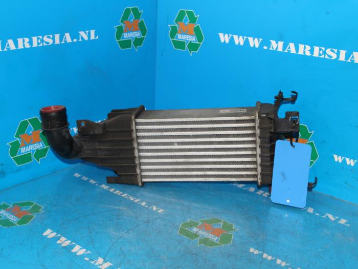 Usados Intercooler Opel Astra H (L48) 1.7 CDTi 16V Precio € 52,50 Norma de margen ofrecido por Maresia Auto Recycling B.V.