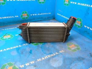 Used Intercooler Peugeot 3008 I (0U/HU) 2.0 HDiF 16V, BlueHDi 150 16V Price € 78,75 Margin scheme offered by Maresia Auto Recycling B.V.