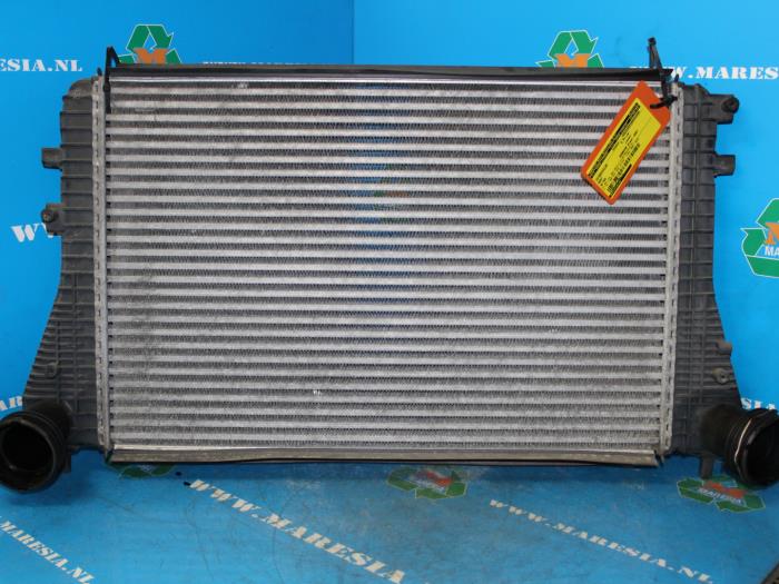 Usados Intercooler Seat Altea (5P1) 1.9 TDI 105 Precio € 105,00 Norma de margen ofrecido por Maresia Auto Recycling B.V.