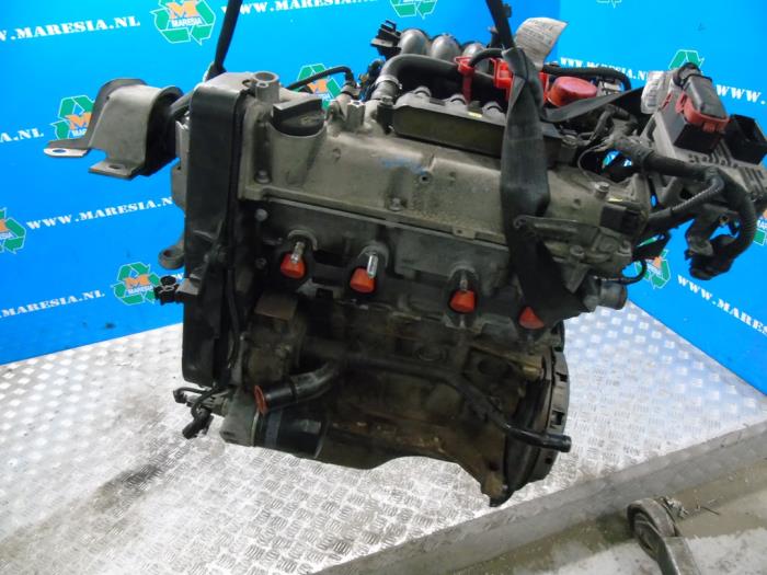 Engine Ford Ka II 1.2 - 5599012 - Maresia Auto Recycling B.V.