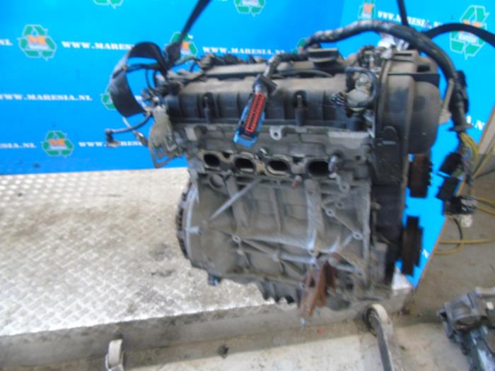 Used Engine Ford C-Max (DXA) 1.6 Ti-VCT 16V Price € 997,50 Margin scheme offered by Maresia Auto Recycling B.V.