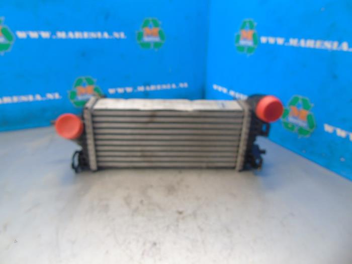 Usados Intercooler Ford Focus 3 1.0 Ti-VCT EcoBoost 12V 100 Precio € 36,75 Norma de margen ofrecido por Maresia Auto Recycling B.V.