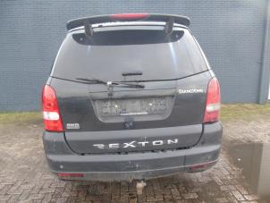 Used Tailgate Ssang Yong Rexton 2.7 CRDi Price € 262,50 Margin scheme offered by Maresia Auto Recycling B.V.