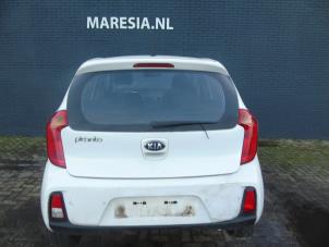 Used Tailgate Kia Picanto (TA) Price € 210,00 Margin scheme offered by Maresia Auto Recycling B.V.
