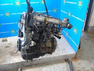 Gebrauchte Motor Kia Venga 1.4 CRDi 16V Preis € 750,00 Margenregelung angeboten von Maresia Auto Recycling B.V.