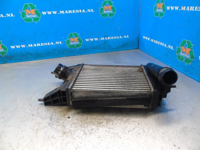 Usados Intercooler Nissan Juke (F15) 1.2 DIG-T 16V Precio € 105,00 Norma de margen ofrecido por Maresia Auto Recycling B.V.