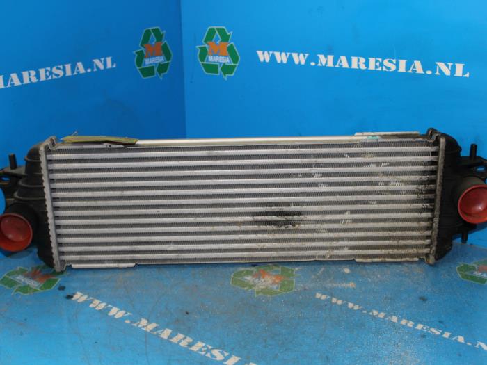 Usagé Intercooler Renault Trafic New (FL) 1.9 dCi 82 16V Prix € 105,00 Règlement à la marge proposé par Maresia Auto Recycling B.V.
