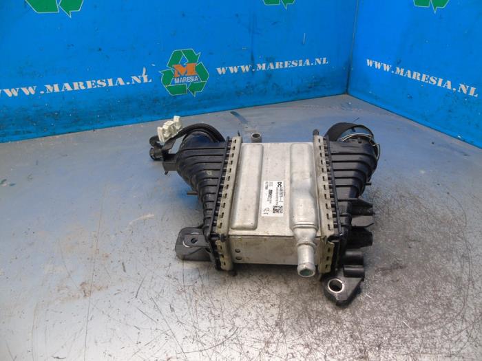 Usagé Intercooler Renault Kangoo Express (RFK) 1.5 Blue dCi 95 Prix € 257,25 Règlement à la marge proposé par Maresia Auto Recycling B.V.