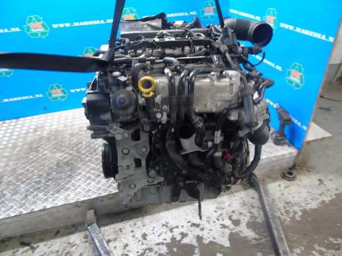 Used Engine Seat Leon SC (5FC) 2.0 TDI Ecomotive 16V Price € 2.362,50 Margin scheme offered by Maresia Auto Recycling B.V.