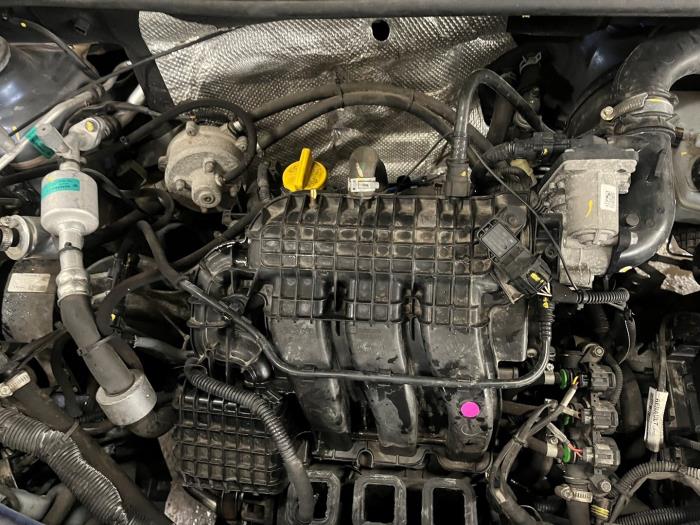 Usagé Moteur Dacia Sandero II 1.0 Sce 12V Prix € 1.522,50 Règlement à la marge proposé par Maresia Auto Recycling B.V.