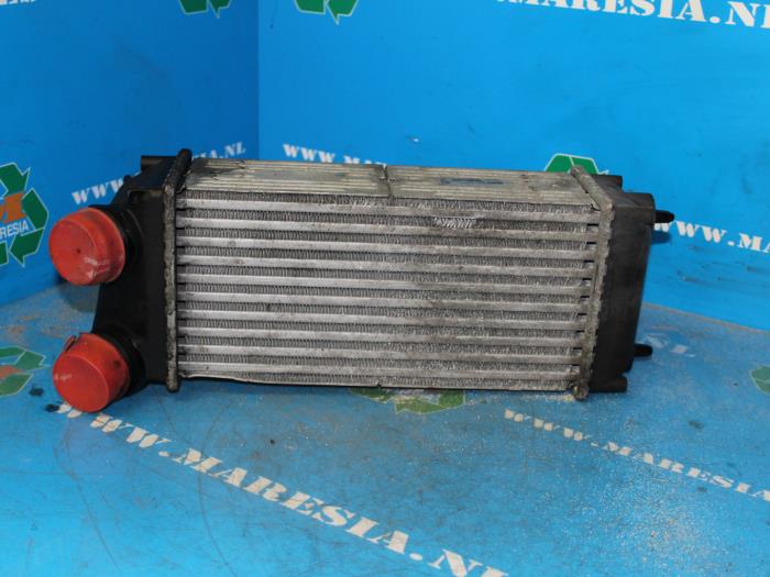 Usados Intercooler Peugeot 307 SW (3H) 1.6 HDi 16V Precio € 78,75 Norma de margen ofrecido por Maresia Auto Recycling B.V.