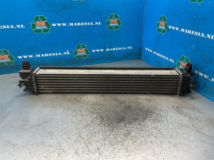 Usados Intercooler Fiat Ducato (250) 2.3 D 130 Multijet Precio € 94,50 Norma de margen ofrecido por Maresia Auto Recycling B.V.