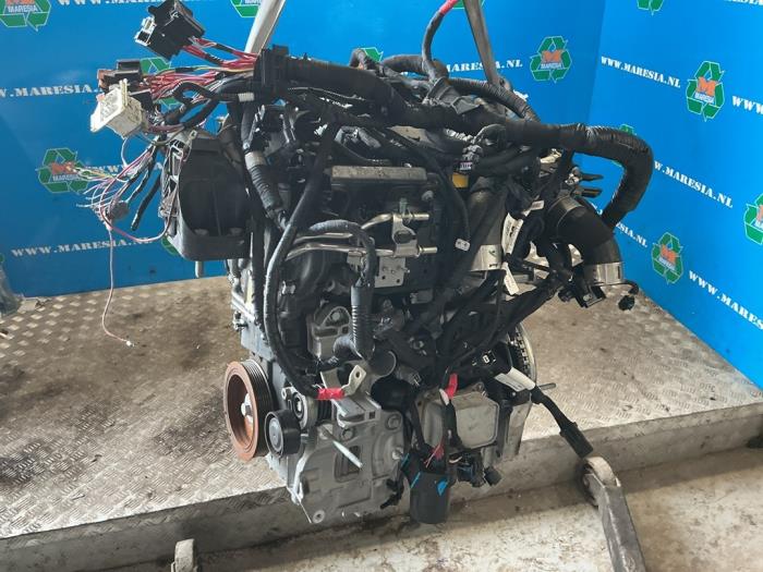 Used Engine Renault Kangoo Express (RFK) 1.5 Blue dCi 75 Price € 2.467,50 Margin scheme offered by Maresia Auto Recycling B.V.