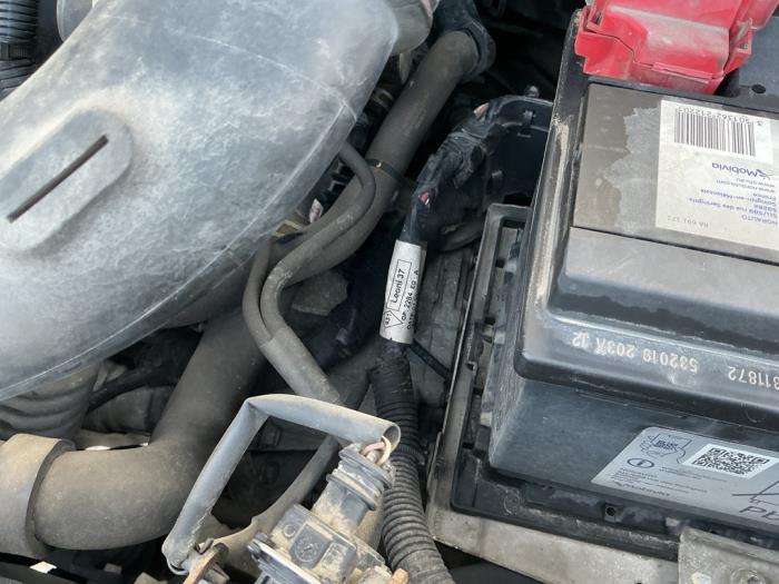 Gebrauchte Getriebe Dacia Lodgy (JS/SD0J) 1.5 dCi FAP Preis € 420,00 Margenregelung angeboten von Maresia Auto Recycling B.V.
