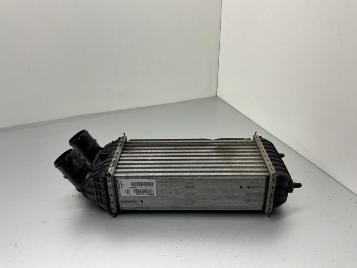 Usados Intercooler Opel Crossland (X) 1.2 Turbo 12V Precio € 42,00 Norma de margen ofrecido por Maresia Auto Recycling B.V.