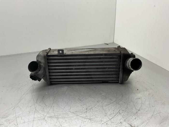 Usados Intercooler Hyundai iX20 (JC) 1.4 CRDi 16V Precio € 52,50 Norma de margen ofrecido por Maresia Auto Recycling B.V.