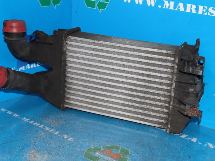 Usagé Intercooler Opel Astra H (L48) 1.7 CDTi 16V Prix € 52,50 Règlement à la marge proposé par Maresia Auto Recycling B.V.