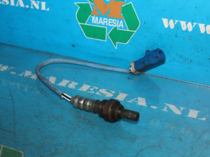 Used Lambda probe Ford Focus 1 1.4 16V Price € 9,45 Margin scheme offered by Maresia Auto Recycling B.V.