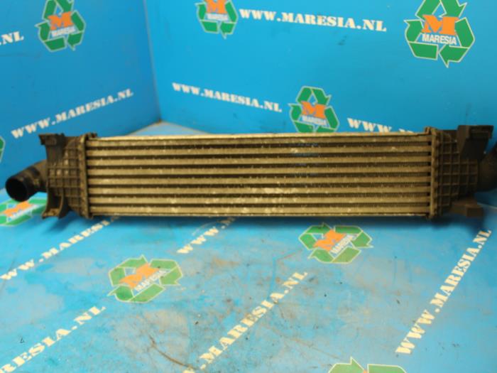 Usados Intercooler Ford Focus 2 Wagon 1.6 TDCi 16V 90 Precio € 21,00 Norma de margen ofrecido por Maresia Auto Recycling B.V.