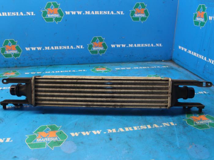 Usagé Intercooler Opel Corsa D 1.3 CDTi 16V ecoFLEX Prix € 78,75 Règlement à la marge proposé par Maresia Auto Recycling B.V.