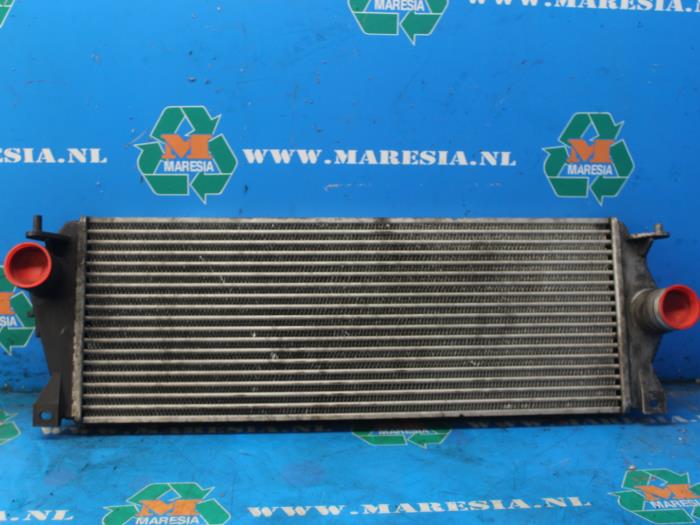 Usados Intercooler Landrover Discovery II 2.5 Td5 Precio € 73,50 Norma de margen ofrecido por Maresia Auto Recycling B.V.